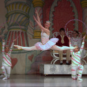 grebelnutcracker